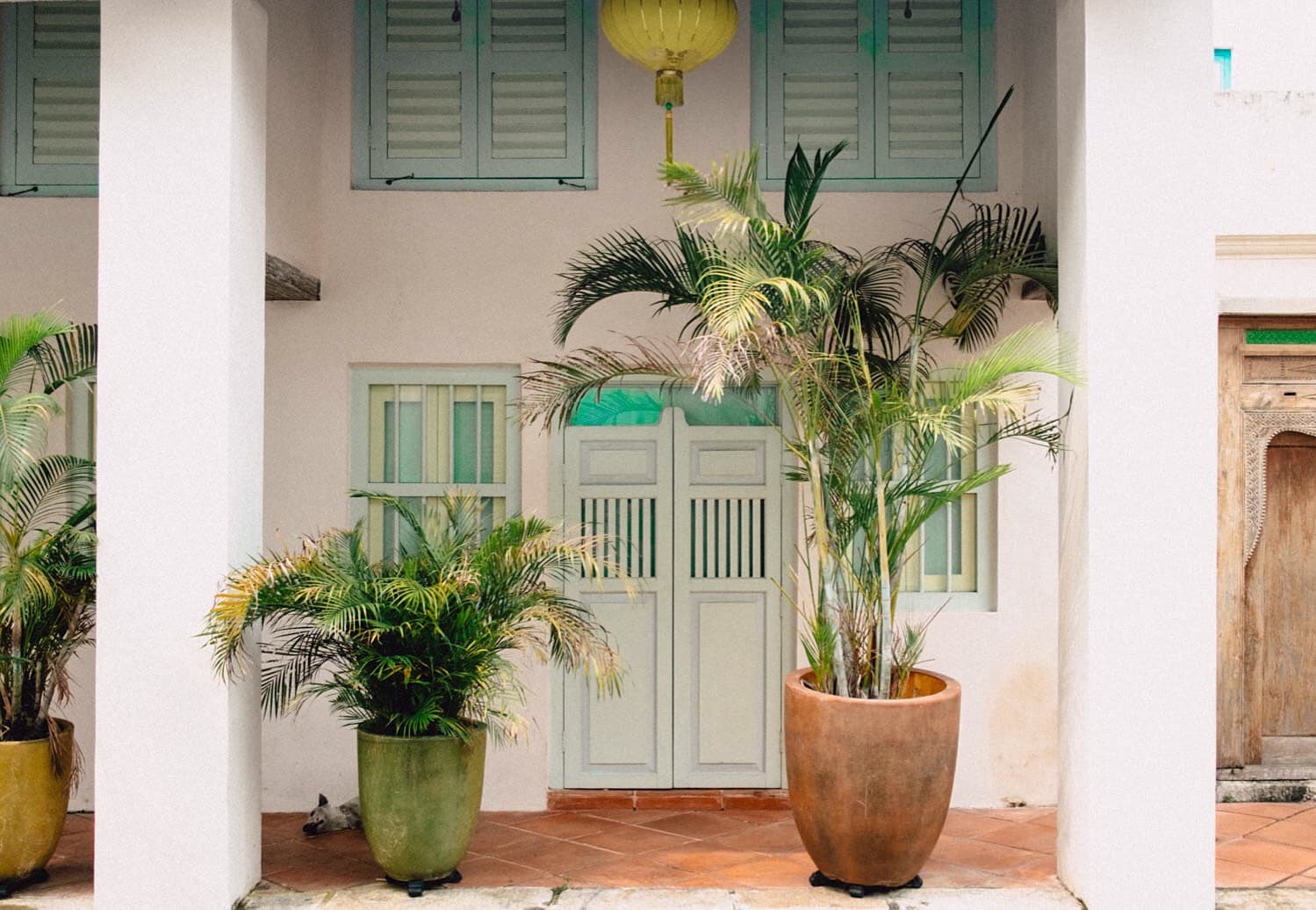 Potted palms framing a pale green doorway