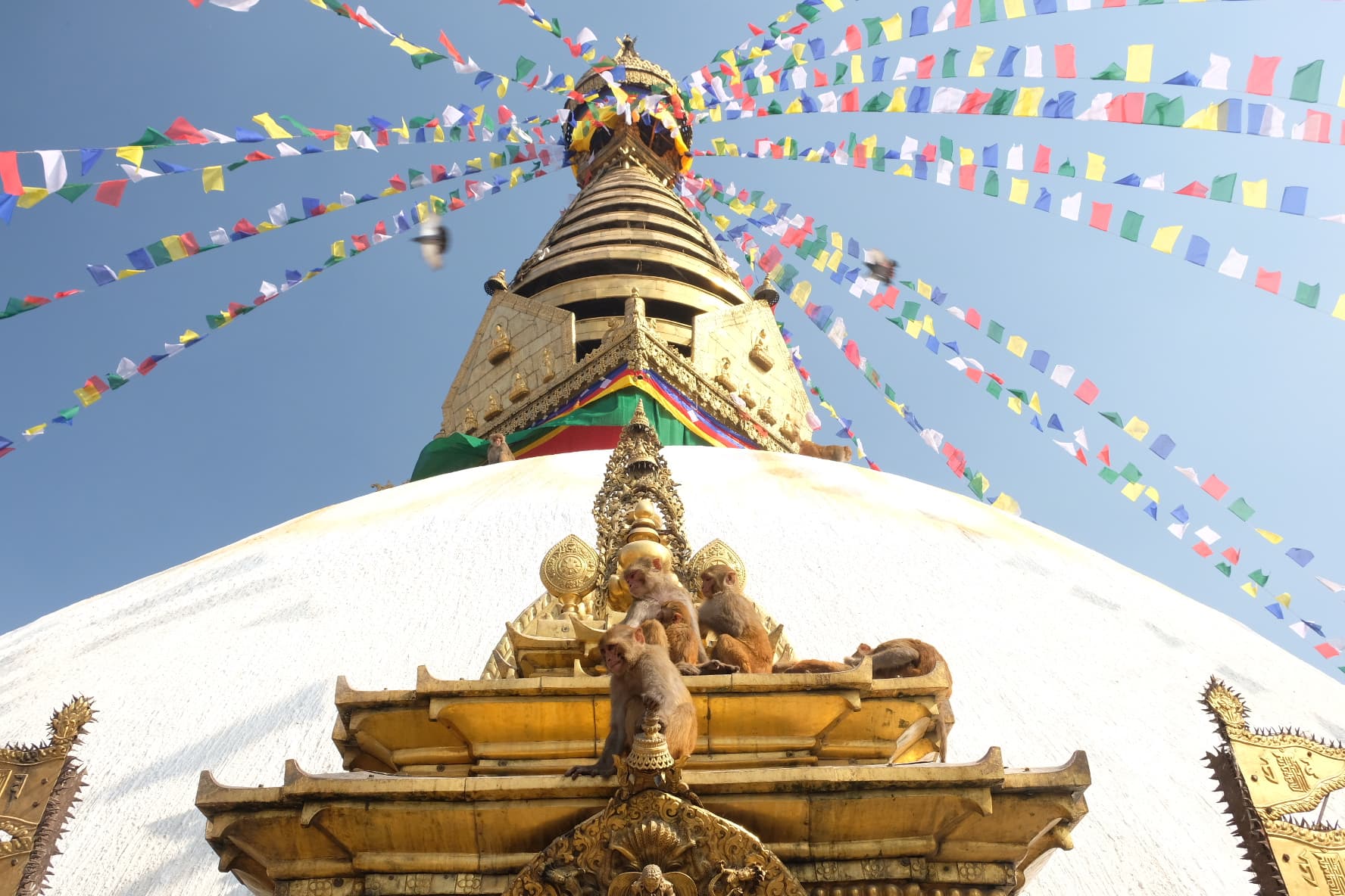 Prayer flags radiating from a white Buddhist stupa