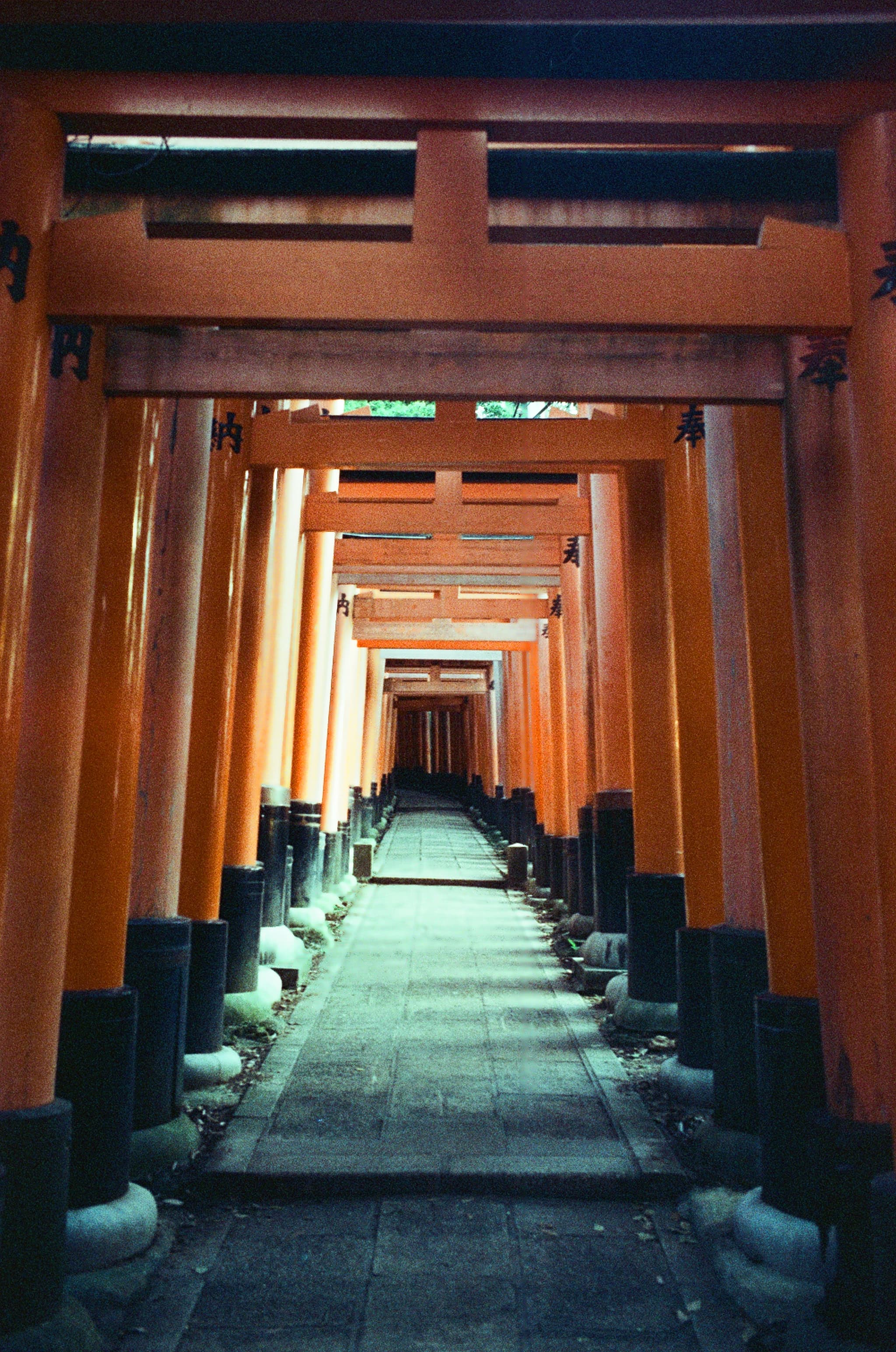 A long passage lined with vermilion torii gates