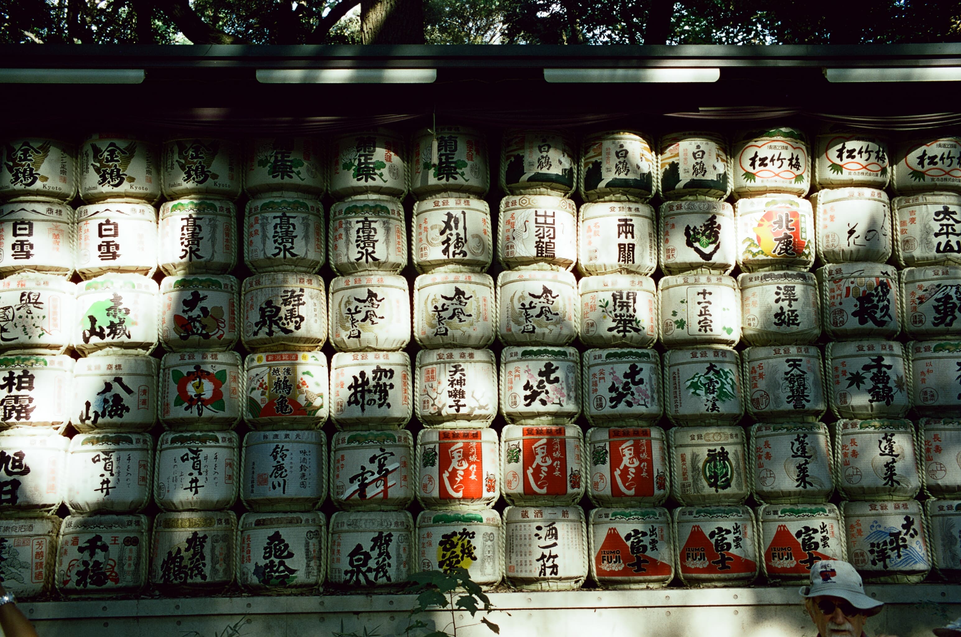 Rows of decorative sake barrels beneath trees