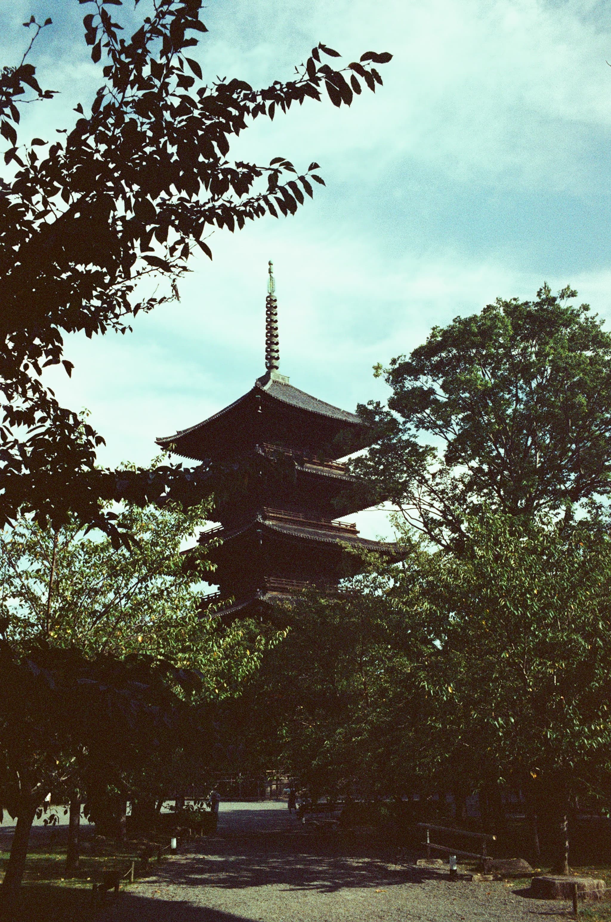 A traditional pagoda framed by leafy trees