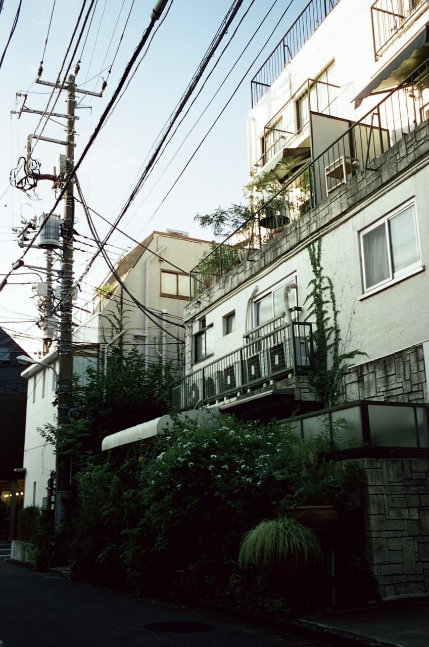 Utility wires crossing above a quiet residential street