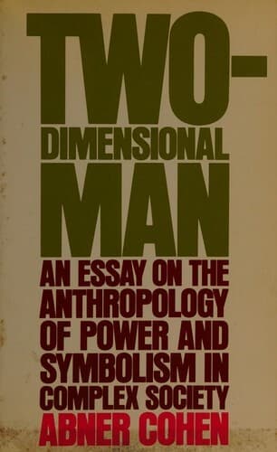 Two-Dimensional Man book cover