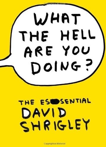 What the Hell Are You Doing?: The Essential David Shrigley book cover