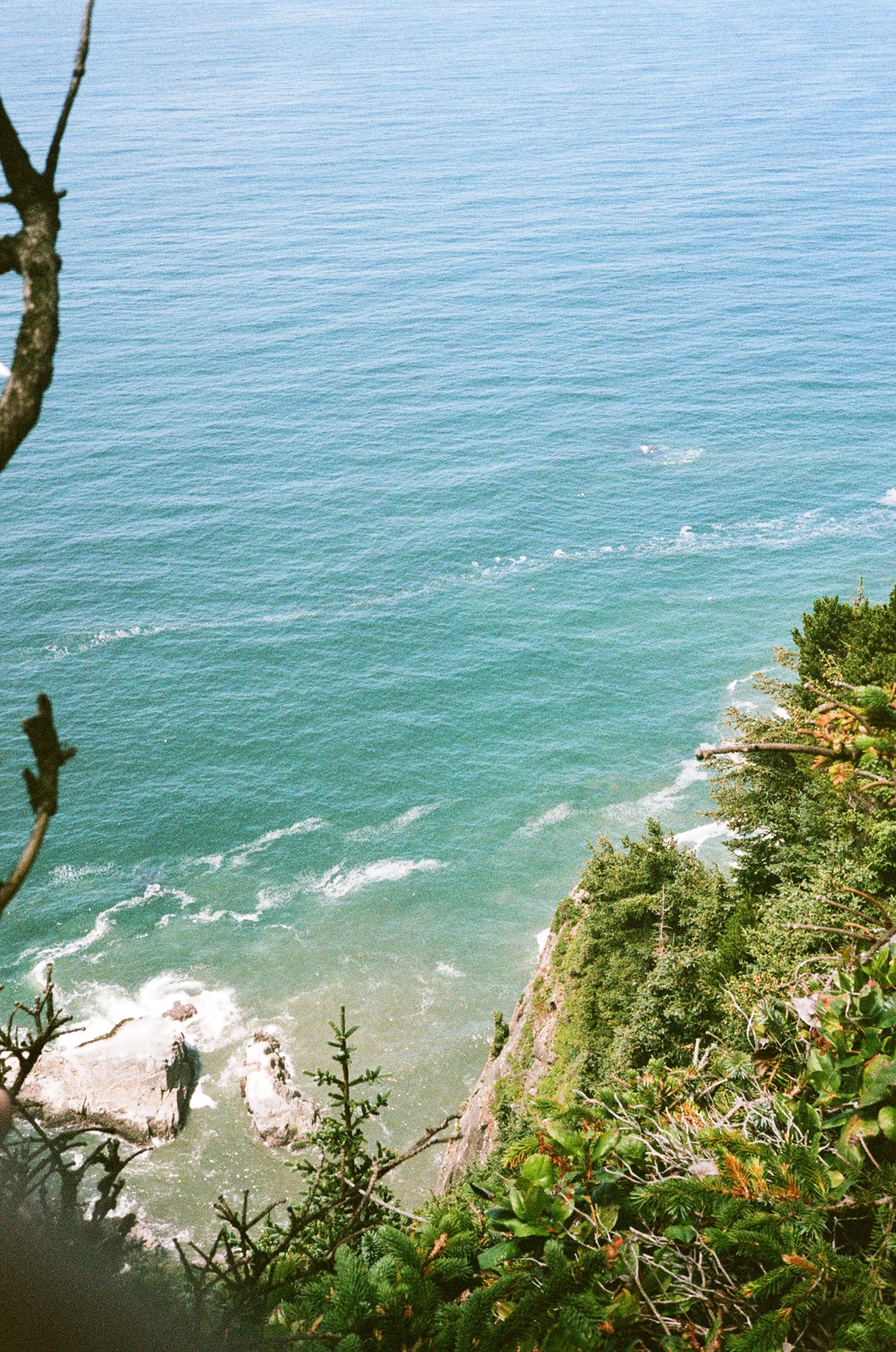 Turquoise water below a forested coastal cliff