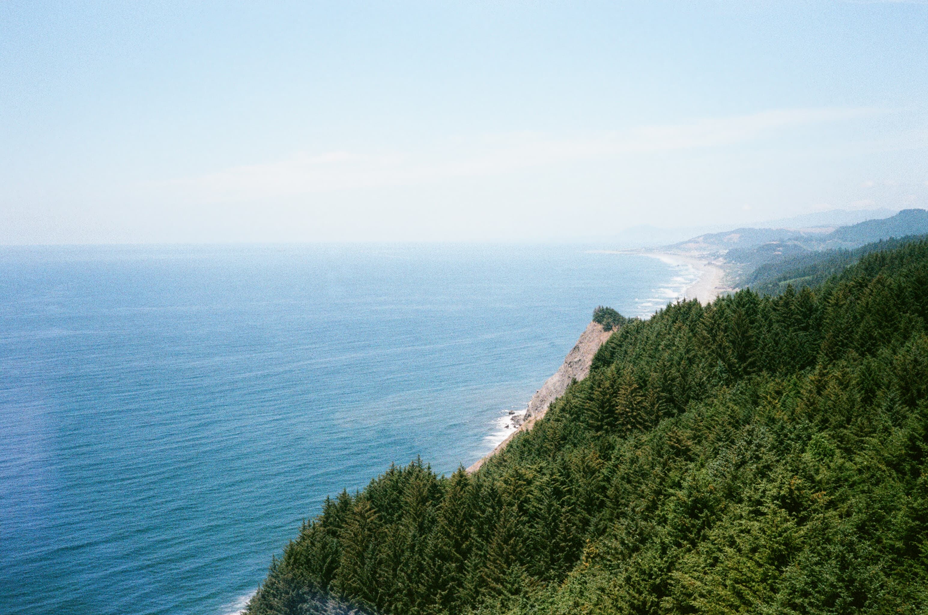 A forested coastline meeting the Pacific Ocean