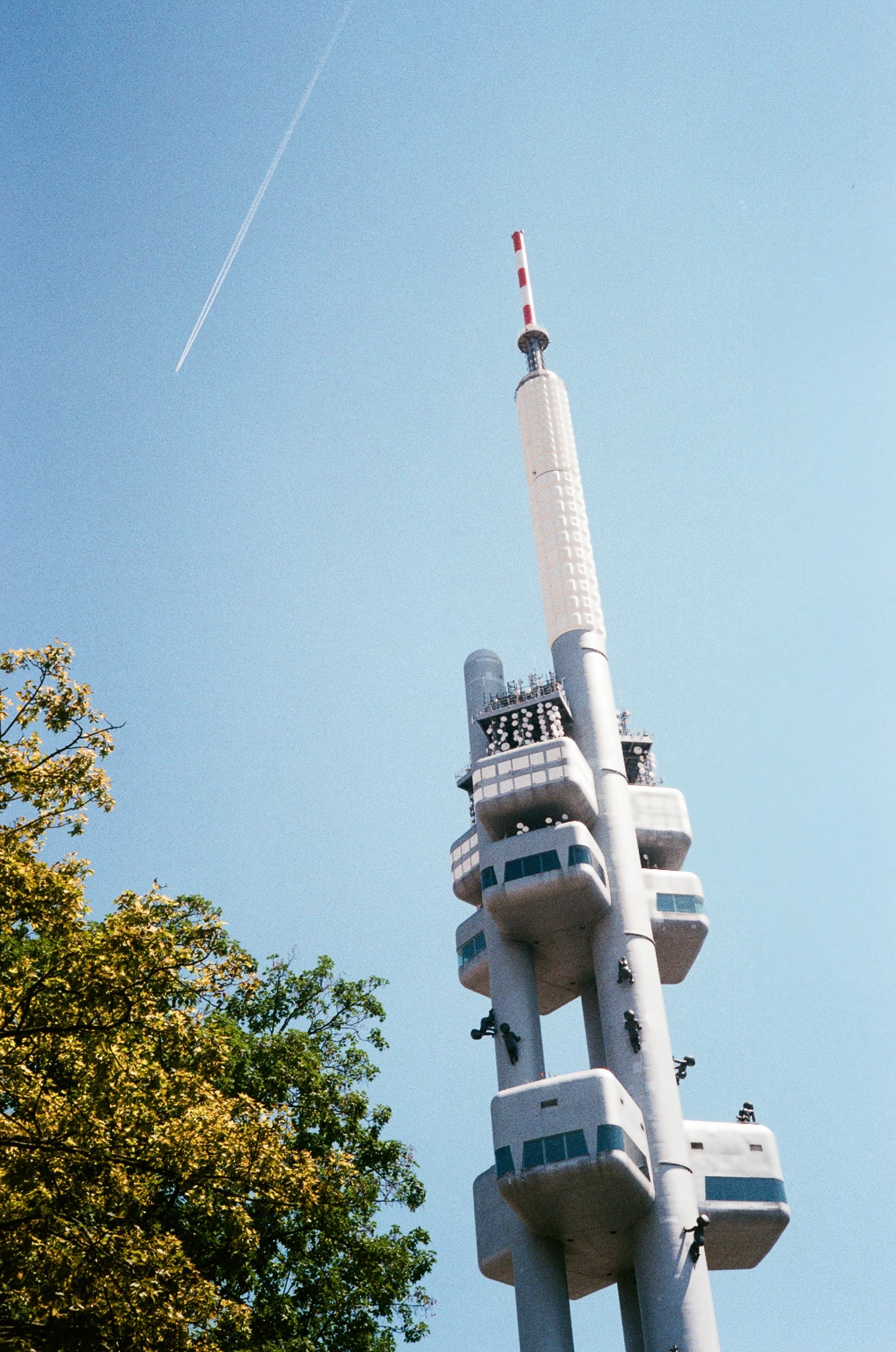 A communications tower framed by trees and blue sky