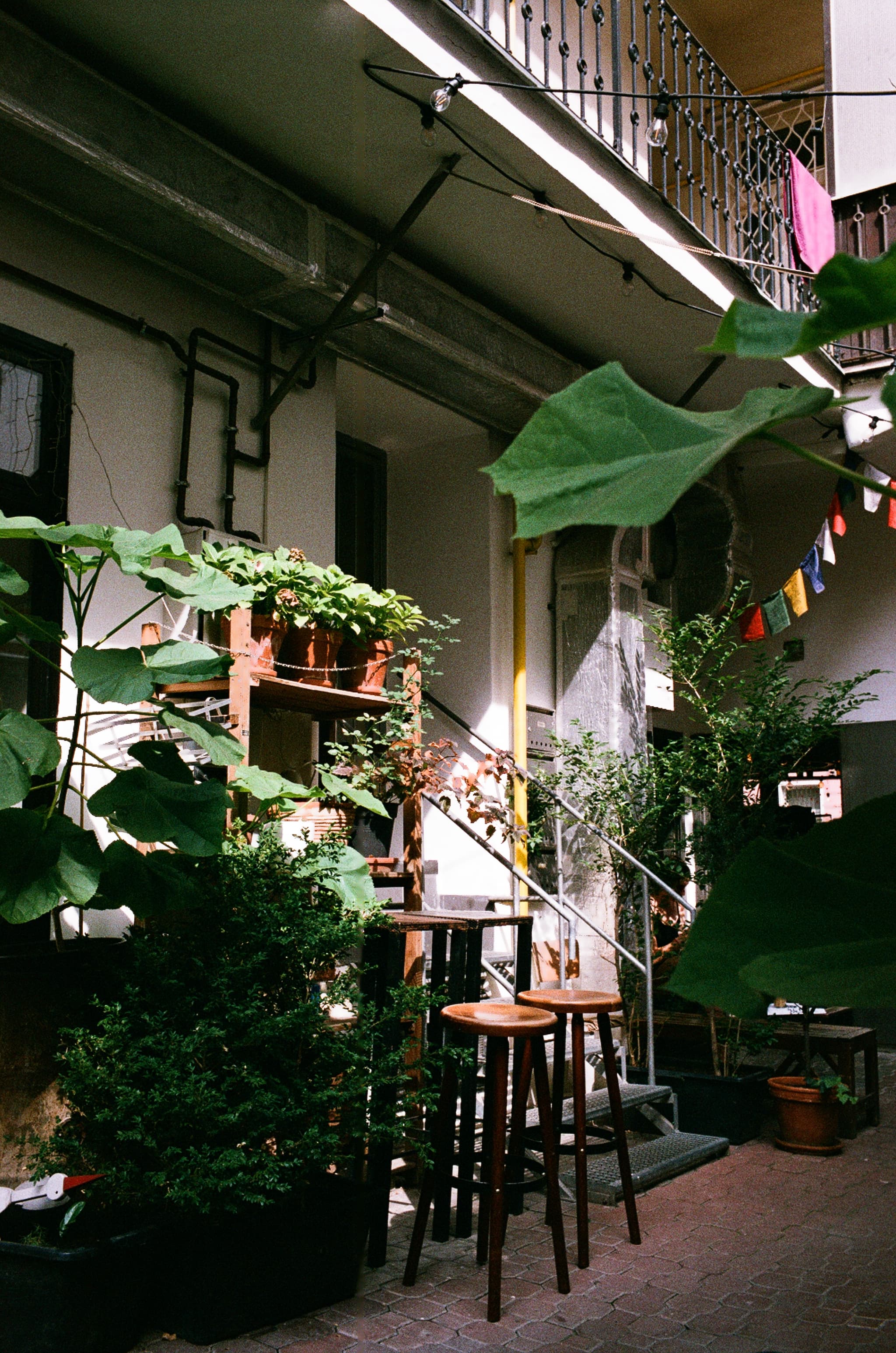 Plants filling the balconies of an apartment building