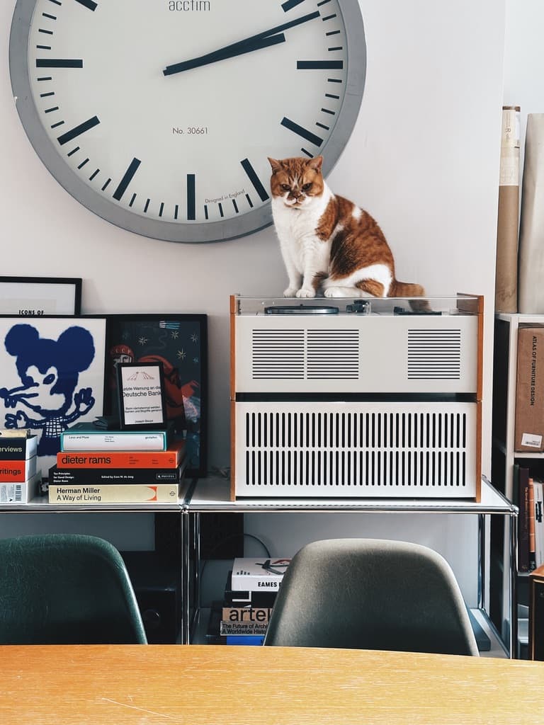 Two cats sitting beneath a large wall clock