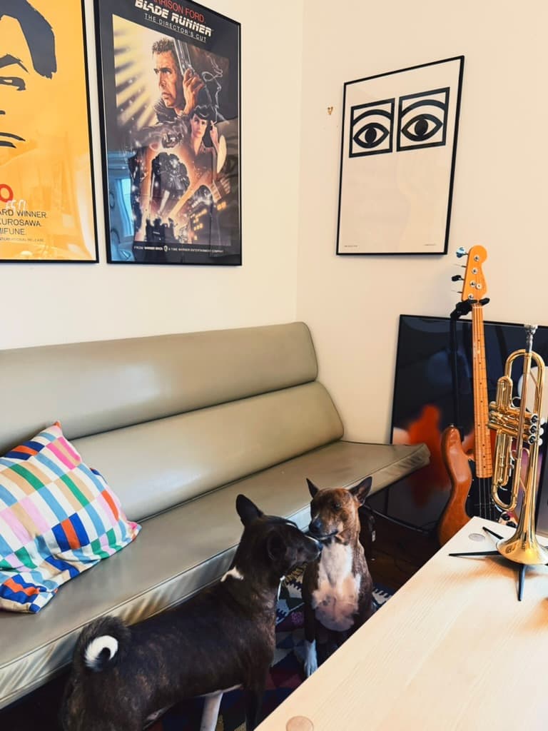 Two dogs relaxing on a sofa