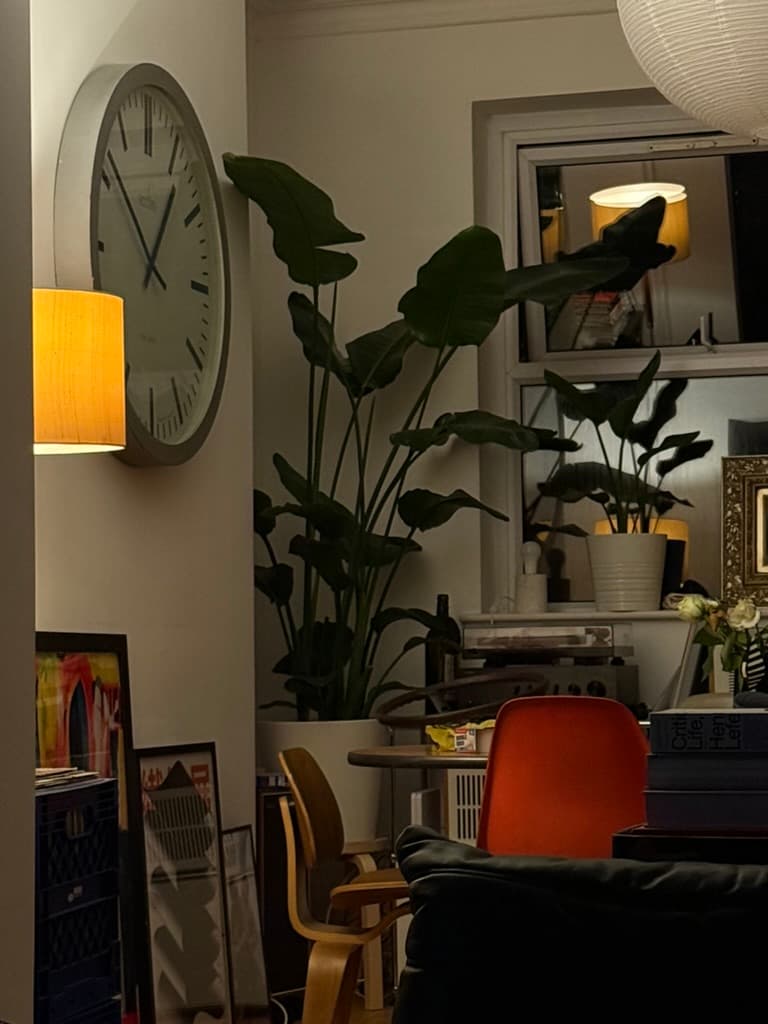 A warmly lit room filled with plants and objects