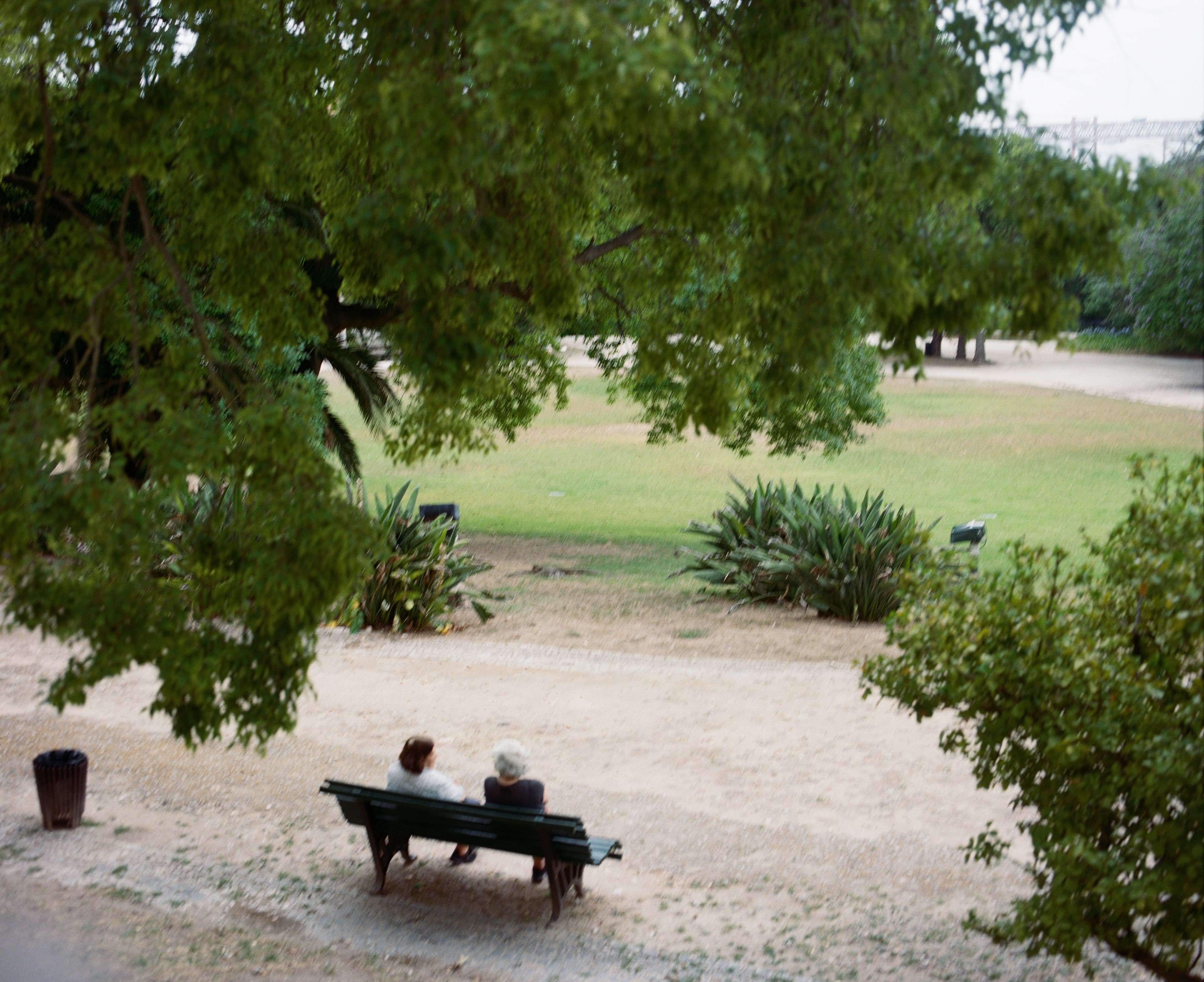 A person sitting on a bench beneath trees in a park