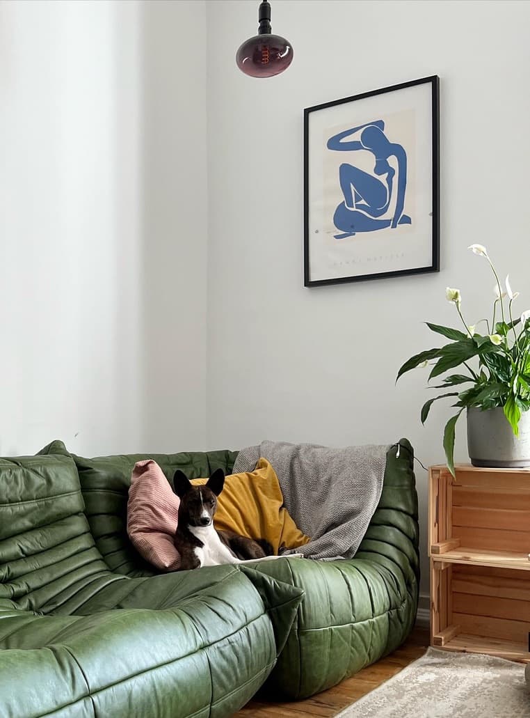 A green sofa and framed print in a bright room