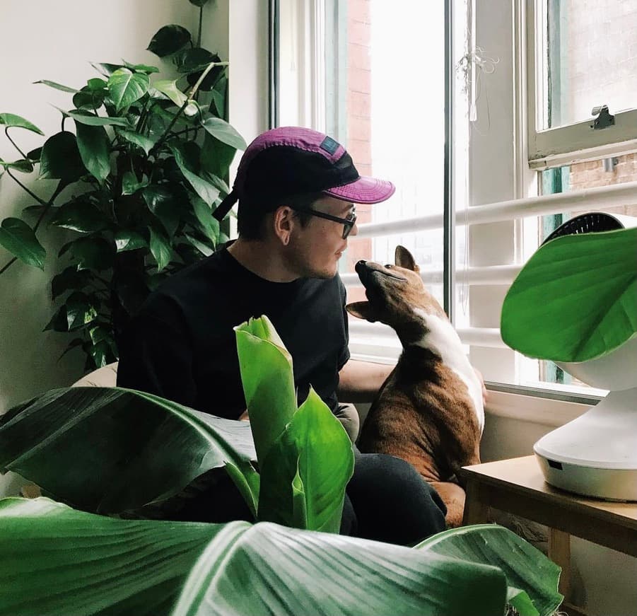 A person and cat sitting together among houseplants